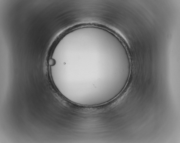X0000112200927200908071240