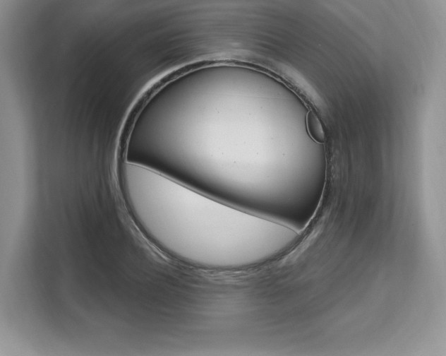 X0000112200932200908071240