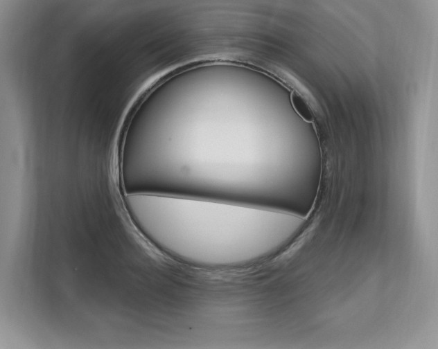 X0000112200940200908071240