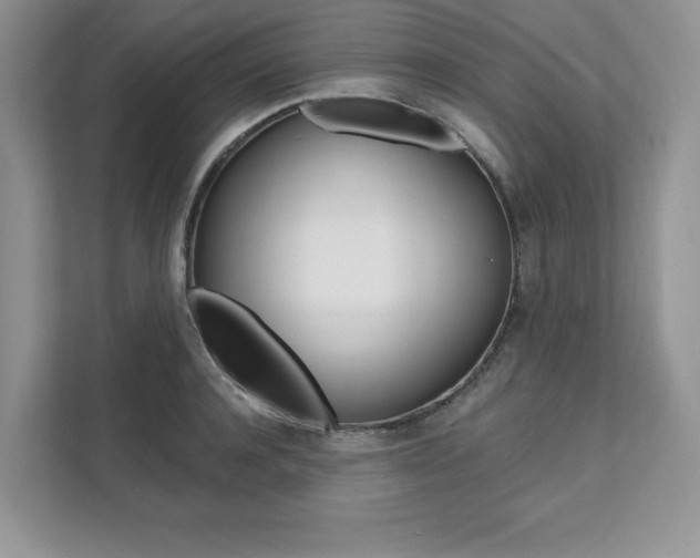 X0000112200944200908071240