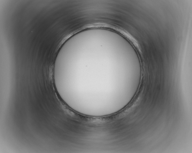 X0000112200945200908071240