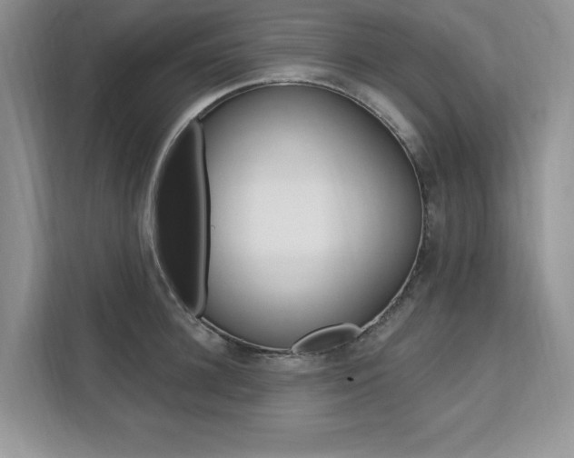 X0000112200948200908071240