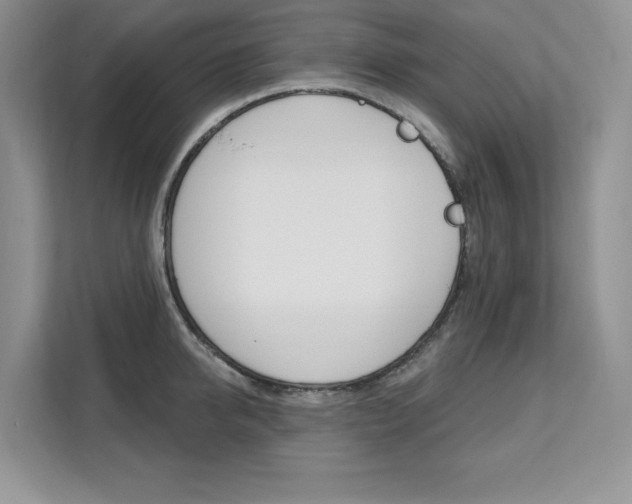 X0000112200950200908071240