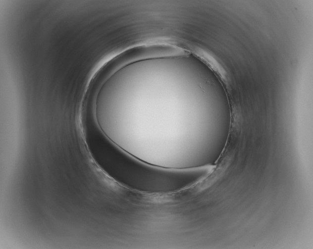 X0000112200952200908071240