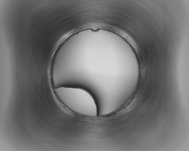 X0000112200954200908071240