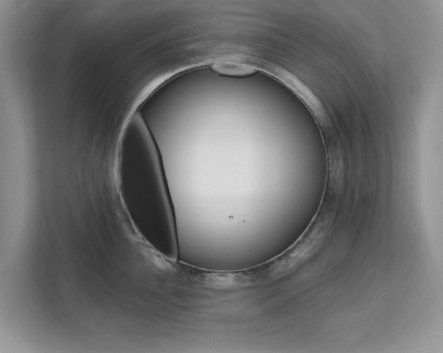 X0000112200956200908071240