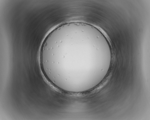 X0000112200957200908071240