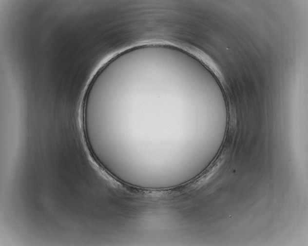 X0000112200958200908071240