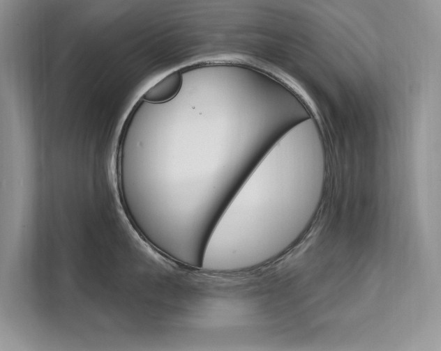 X0000112200959200908071240