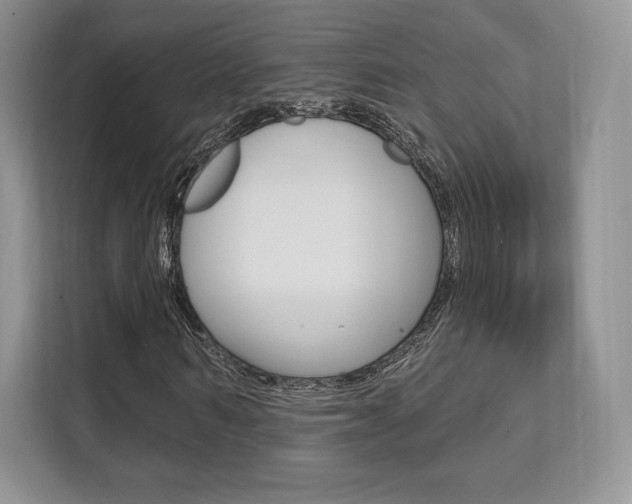 X0000112200962200908071240
