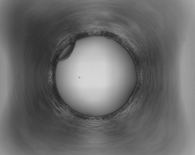 X0000112200964200908071240