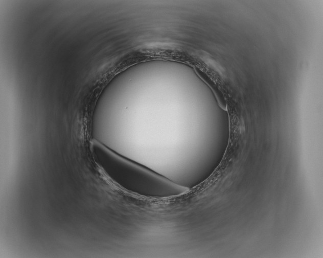 X0000112200965200908071240