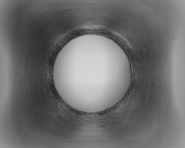 X0000112200966200908071240