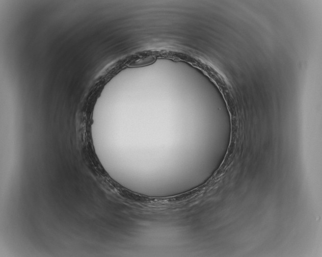 X0000112200968200908071240