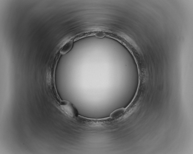 X0000112200969200908071240