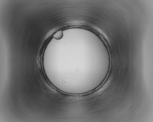 X0000112200970200908071240