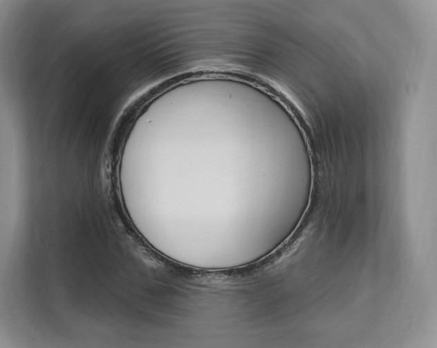 X0000112200971200908071239