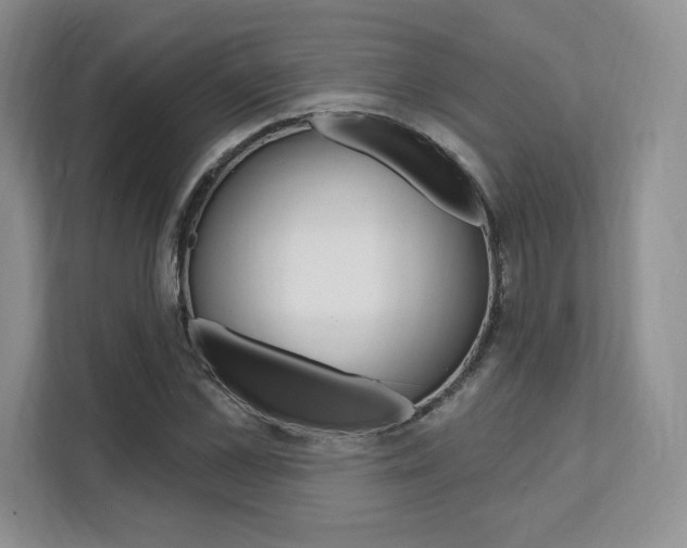 X0000112200973200908071239