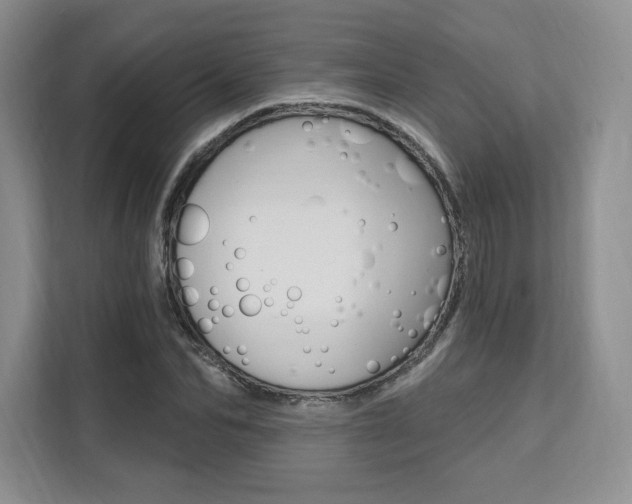 X0000112200974200908071239