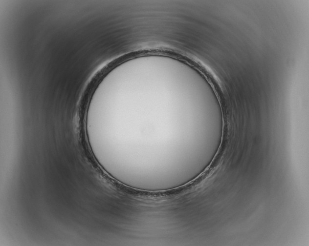 X0000112200975200908071239