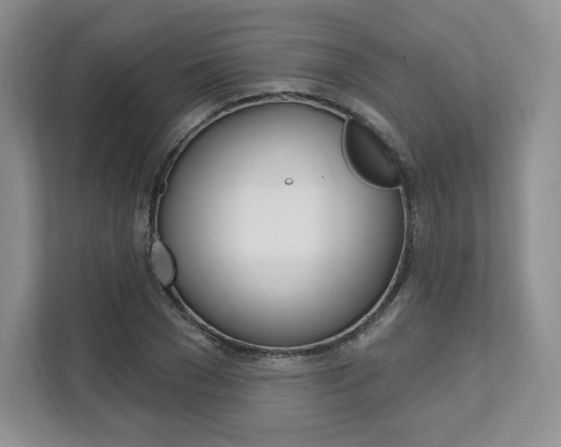 X0000112200977200908071239