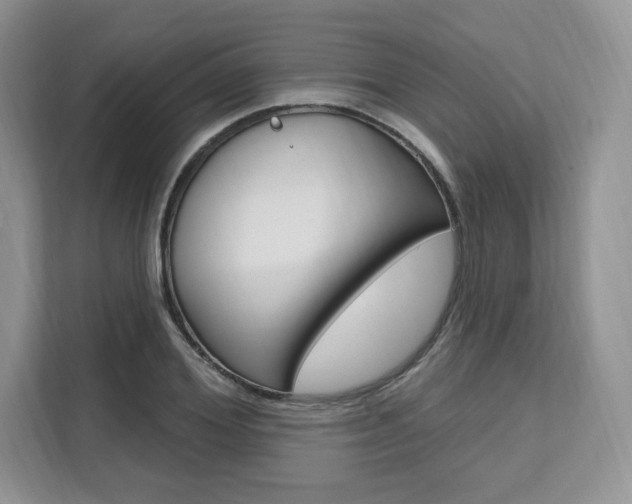 X0000112200980200908071239