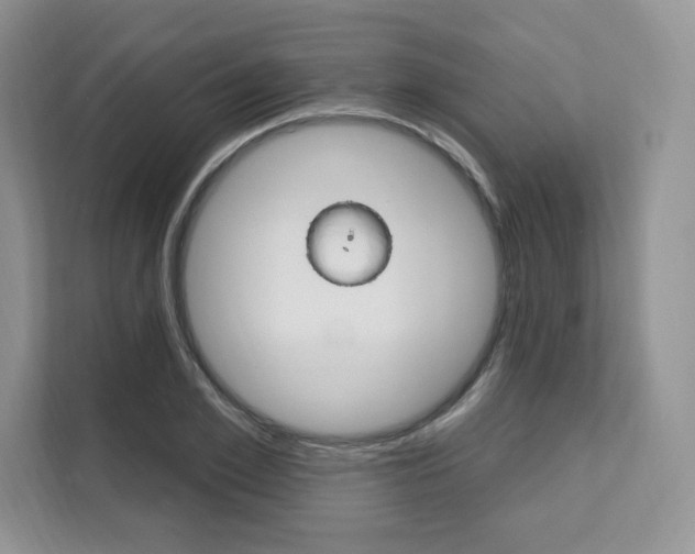 X0000112200981200908071239