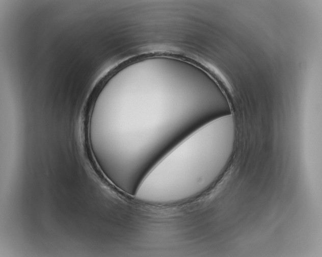 X0000112200983200908071239