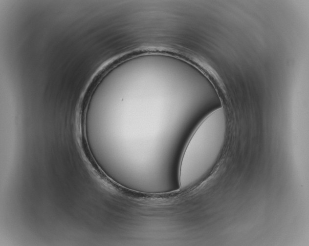 X0000112200984200908071239
