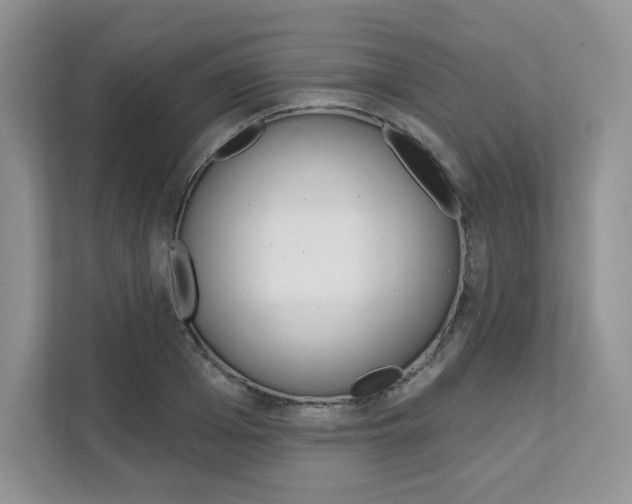X0000112200985200908071239