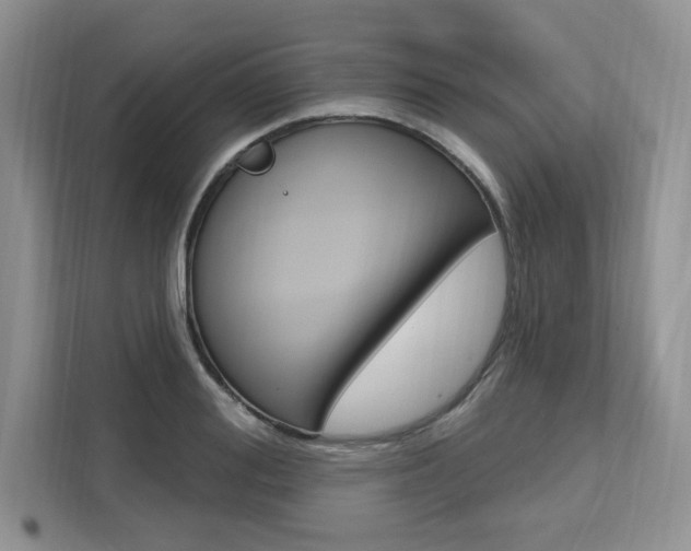 X0000112200988200908071239