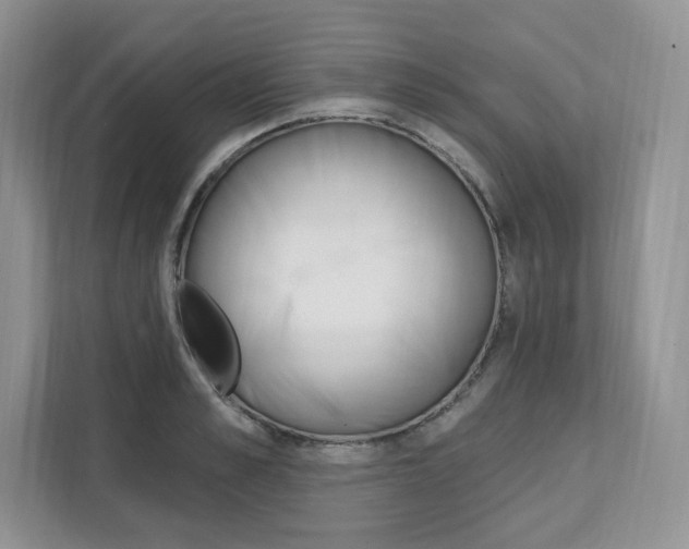 X0000112200989200908071239
