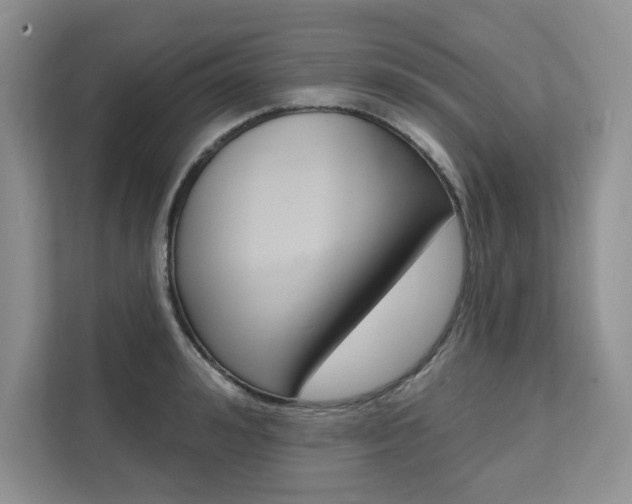 X0000112200992200908071239