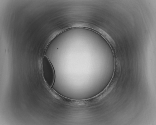 X0000112200993200908071239