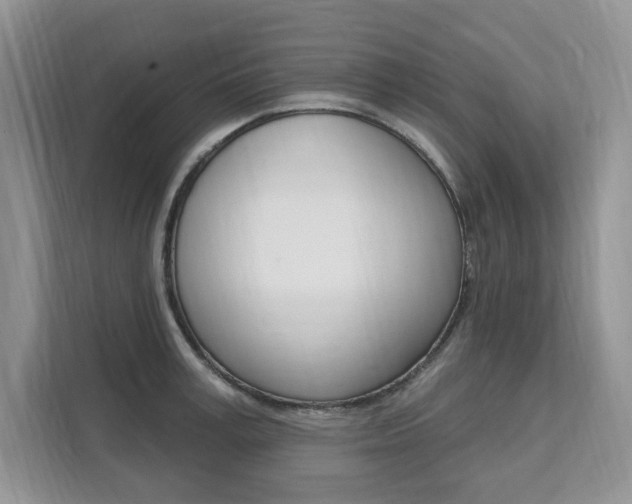 X0000112200995200908071239