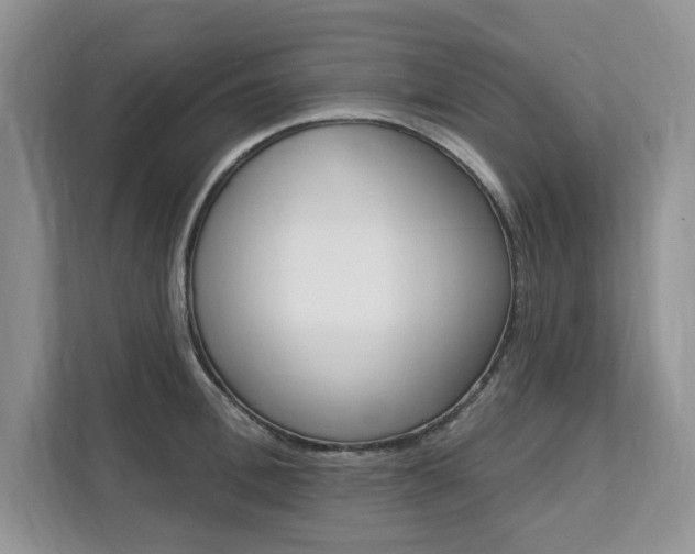 X0000112200996200908071239