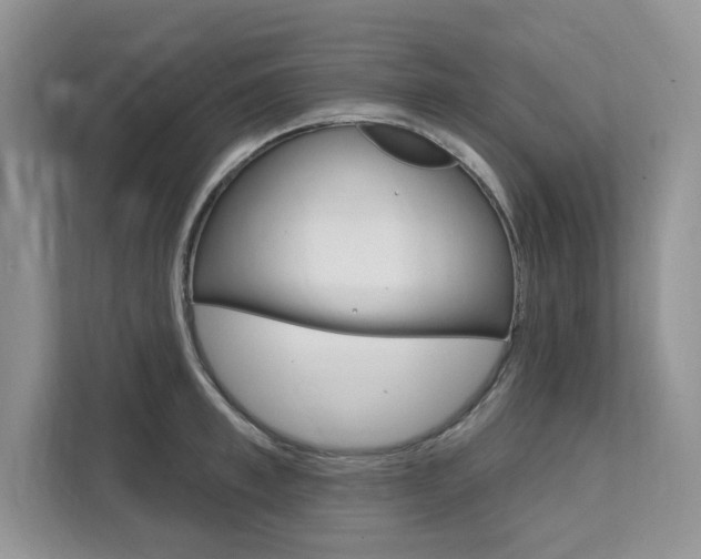 X0000112200997200908071239