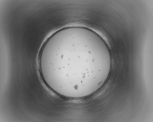 X0000112200998200908071239