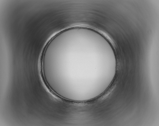 X0000112200999200908071239
