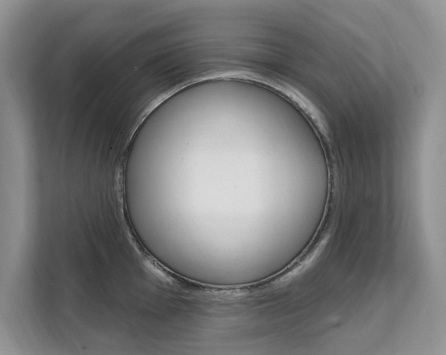 X0000112201001200908071239