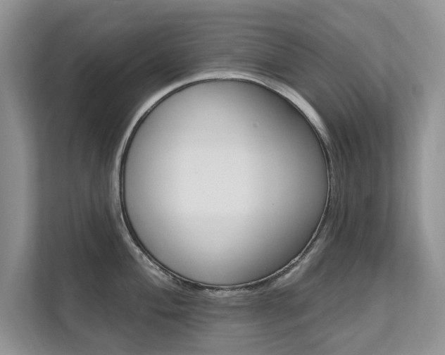 X0000112201004200908071239