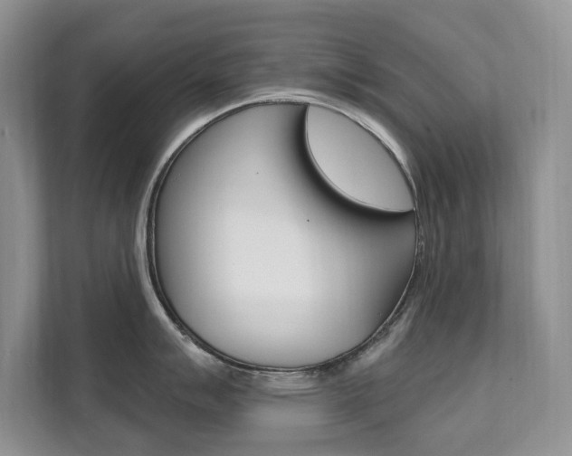 X0000112201007200908071239