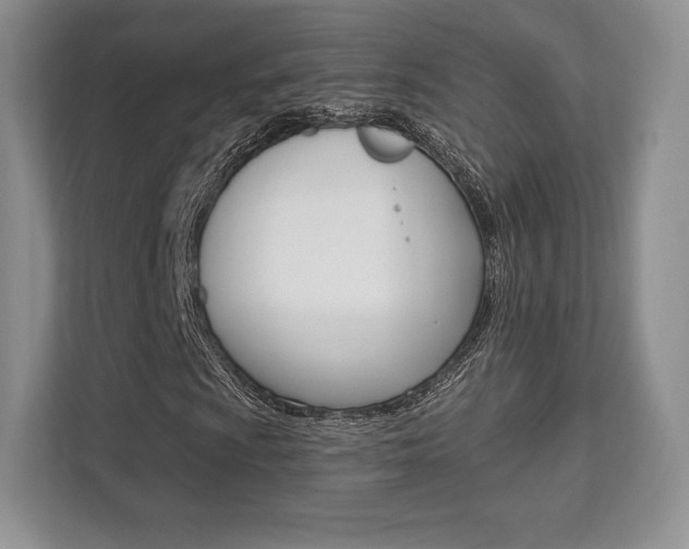 X0000112201009200908071238