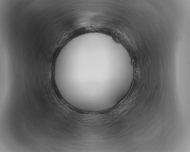 X0000112201012200908071238