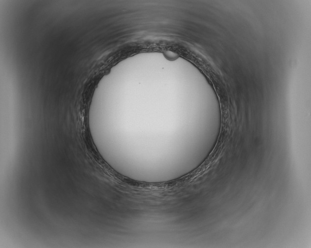 X0000112201013200908071238