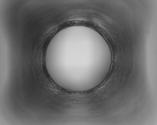 X0000112201014200908071238