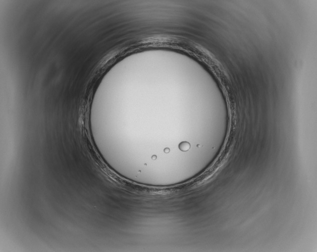 X0000112201017200908071238