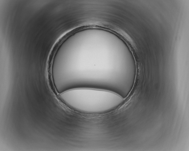X0000112201020200908071239