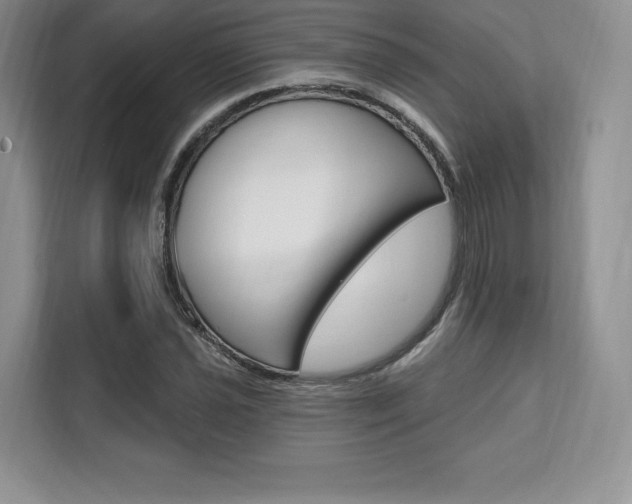 X0000112201021200908071239