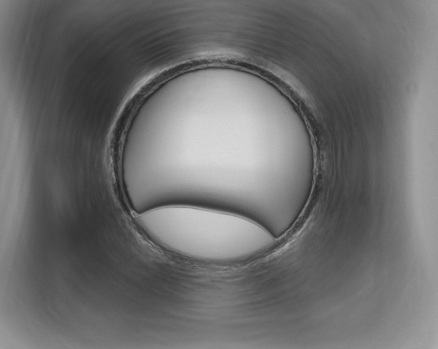 X0000112201022200908071239